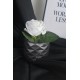 Çiçek Taş Gümüş Gölgeli Saksı Beyaz Gül 1 Adet Yapay