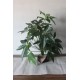 Ağaç Taş Saksı Rose Gölgeli 108 Yaprak 70 cm Boy Yapay