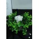 Çiçek Taş Gümüş Gölgeli Saksı Beyaz Gül 1 Adet Yeşilliklerle Çevrili