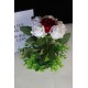 Çiçek Taş Gold Gölgeli Saksı Kırmızı Beyaz Güller 6 Adet Yeşilliklerle Sarılı