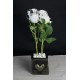 Çiçek Taş Gold Gölgeli Saksı Kalp Desenli Beyaz Güller 4 Adet Yapay
