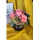 Çiçek Taş Rose Gölgeli Saksı 5 Adet Pembe  Güller Çipsolarla Çevrili