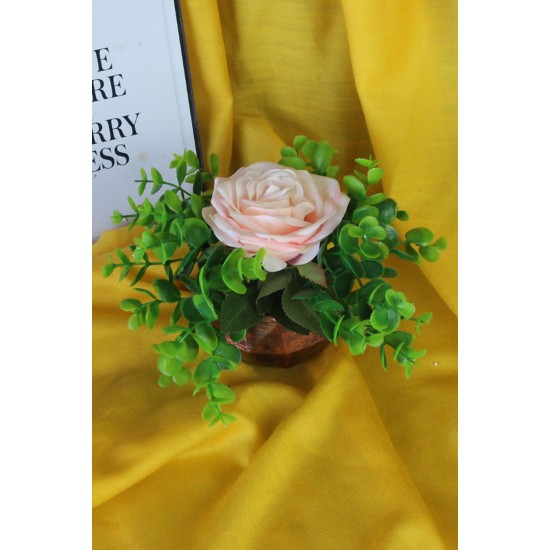 Çiçek Taş Rose Gölgeli Saksı Pembe Gül 1 Adet Yeşilliklerle Çevrili