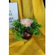 Çiçek Taş Rose Gölgeli Saksı Pembe Gül 1 Adet Yeşilliklerle Çevrili