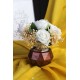 Çiçek Taş Rose Gölgeli Saksı 5 Adet Beyaz Güller Çipsolarla Çevrili