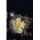 Buket Sarı Güller 7 li Demet Çipsolarla Çevrili Hasır İple Sarılı
