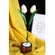 Lale 2 li Çiçek Taş  Rose Gölgeli Saksı