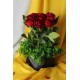 Çiçek Taş Siyah Saksı Kırmızı Güller 9 Adet Yeşilliklerle Sarılı