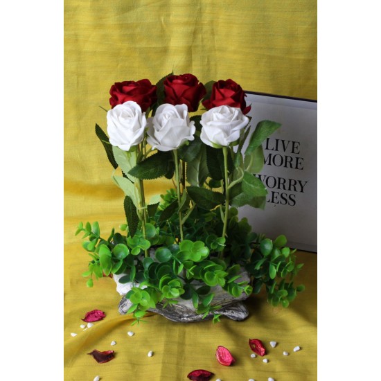 Güller 6 Adet Kırmızı & Beyaz Yeşilliklerle Sarılı Özel Saksı Model