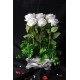 Güller 6 Adet Beyaz Yeşilliklerle Sarılı Özel Saksı Model