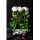 Güller 6 Adet Beyaz Yeşilliklerle Sarılı Özel Saksı Model