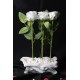 Güller 6 Adet Beyaz Özel Saksı Model