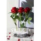Güller 6 Adet Kırmızı Özel Saksı Model