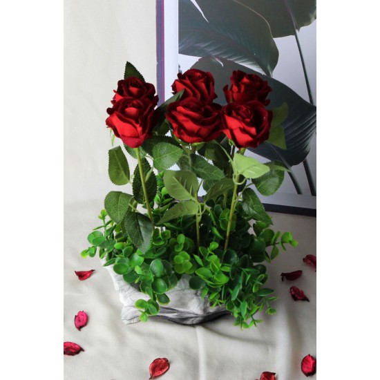 Güller 6 Adet Kırmızı Yeşilliklerle Sarılı Özel Saksı Model