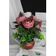 Çiçek Taş Rose Gölgeli Saksı Şakayık & Beyaz Güller Yeşilliklerle Sarılı