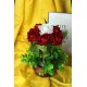 Çiçek Taş Rose Gölgeli  Saksı Kırmızı Beyaz 6 Adet & Güller Yeşilliklerle Sarılı