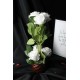 Güller Beyaz 6 Adet Yapay Taş Saksı Rose Gölgeli