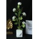 Çiçek Taş Saksı Kalpli Beyaz Yapay Güller 5 Adet