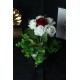 Çiçek Saksı Kırmızı Beyaz Güller Yeşilliklerle Sarılı