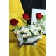 Çİçek Taş Saksı Tüm Güzel Anlamları Barındıran 5 Adet Güller Kırmızı Beyaz & 25 Başlıklı Papatyalar